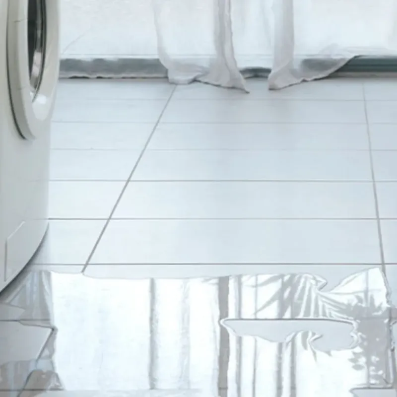 Appliance Leak Cleanup in San Joaquin County, CA