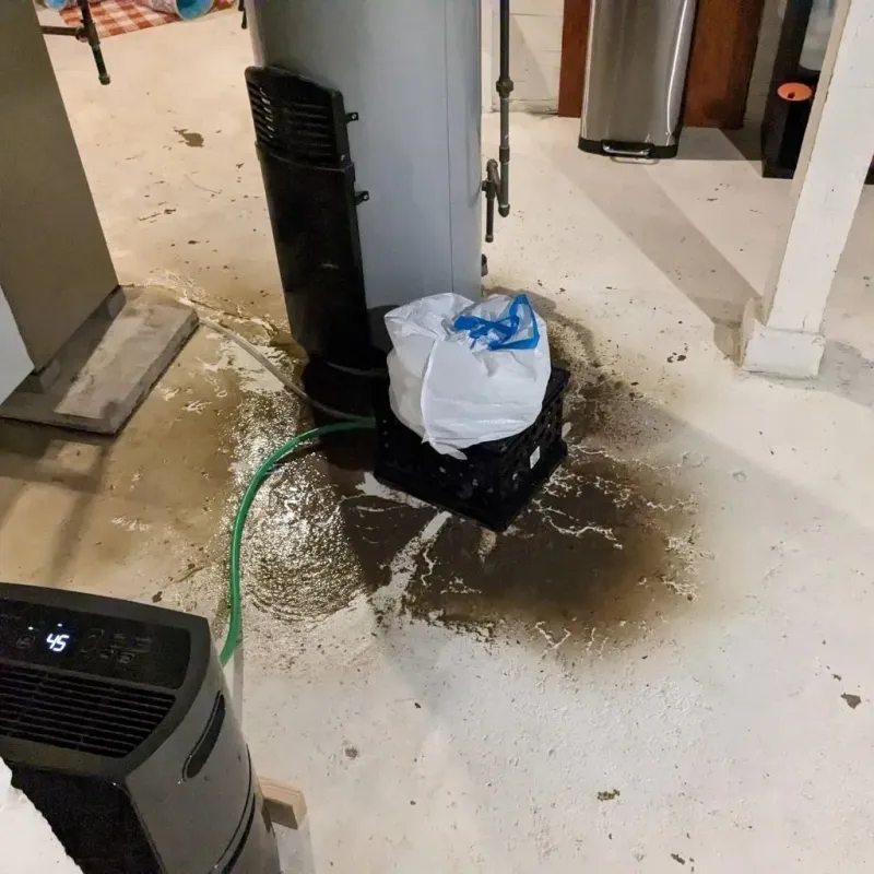 Sewage Backup Cleanup Service in San Joaquin County, CA